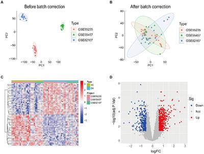 Mendelian randomization based on genome-wide association studies and expression quantitative trait loci, predicting gene targets for the complexity of osteoarthritis as well as the clinical prognosis of the condition